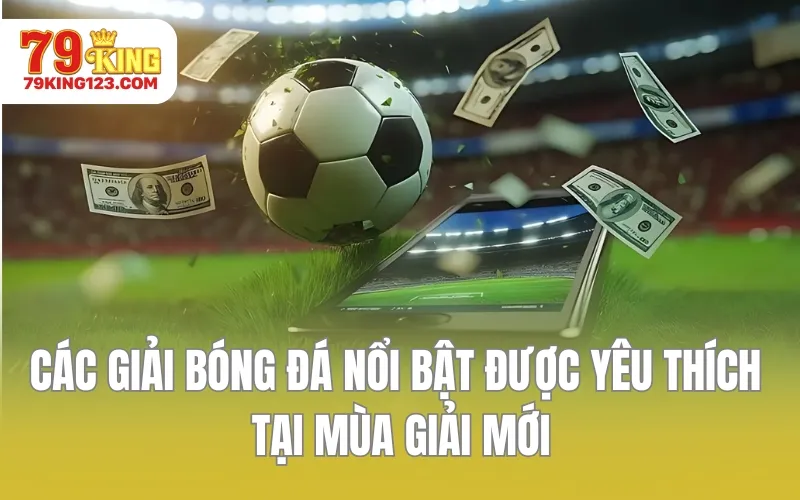 Các giải bóng đá nổi bật được yêu thích tại mùa giải mới